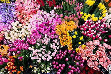 《怪物猎人：荒野》第二次更新现已上线 首促八折中